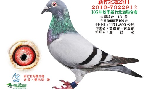 木香顺气丸的神奇功效和适用人群-木香顺气丸的神奇功效网 :分享木香顺气丸的神奇功效是什么-木香顺气丸的神奇功效作用知识