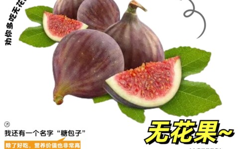 木香顺气丸神奇功效揭秘视频-木香顺气丸的神奇功效网 :分享木香顺气丸的神奇功效是什么-木香顺气丸的神奇功效作用知识