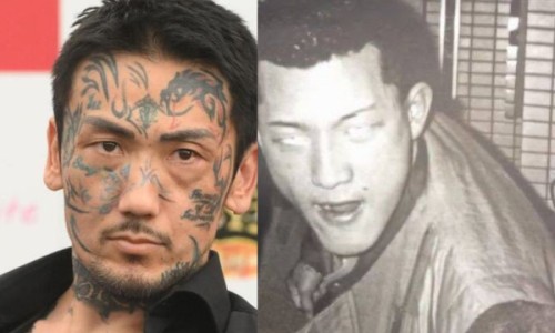 木香顺气丸的神奇功效网 :分享木香顺气丸的神奇功效是什么-木香顺气丸的神奇功效作用知识